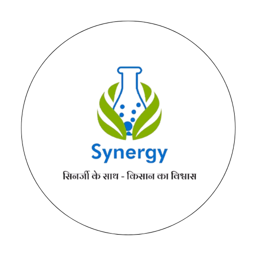 Synergy Crop Seeds